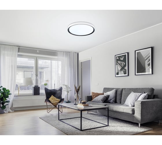 Потолочный светодиодный светильник Ambrella light WH/BK белый/черный IP54 20W 5000K D300*60 (Без ПДУ) FZ1247