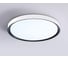 Потолочный светодиодный светильник Ambrella light WH/BK белый/черный IP54 20W 5000K D300*60 (Без ПДУ) FZ1247 6