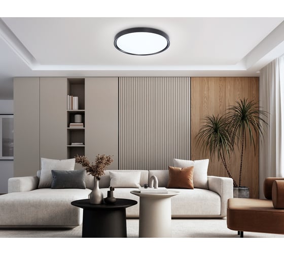 Потолочный светодиодный светильник Ambrella light BK черный IP54 30W 5000K D380*60 (Без ПДУ) FZ1248