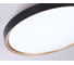 Потолочный светодиодный светильник Ambrella light BK/GD черный/золото IP54 45W 5000K D480*60 (Без ПДУ) FZ1249 3