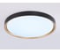 Потолочный светодиодный светильник Ambrella light BK/GD черный/золото IP54 45W 5000K D480*60 (Без ПДУ) FZ1249 5