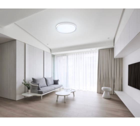 Потолочный светодиодный светильник Ambrella light WH белый IP54 12W 5000K D240*60 (Без ПДУ) FZ1246