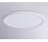 Светильник светодиодный ультратонкий Ambrella light WH белый IP54 35W 3000K-6500K CCT-переключатель D450*25 (Без ПДУ) FZ1907 3