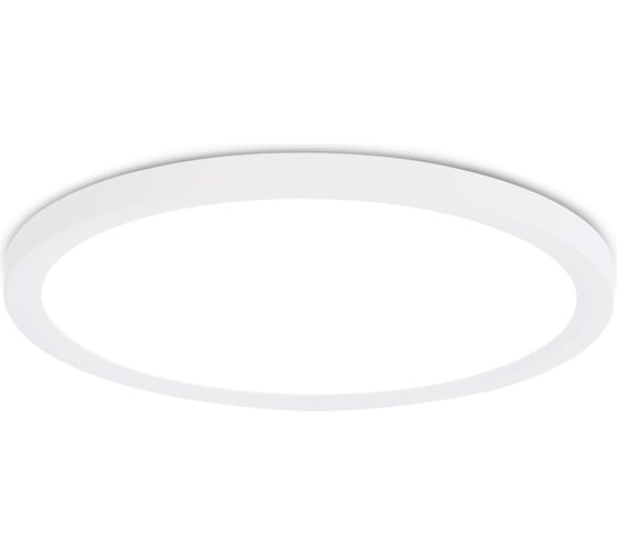 Светильник светодиодный ультратонкий Ambrella light WH белый IP54 44W 3000K-6500K CCT-переключатель D600*25 (Без ПДУ) FZ1909 1