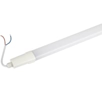 Линейный светодиодный светильник ЭРА SPP301366KM 36Вт 6500К 3780лм IP65 1220x39x31 Б0066942