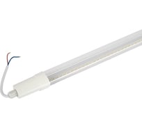 Линейный светодиодный светильник ЭРА SPP301366KP 36Вт 6500К 4680лм IP65 1220x39x31 Б0066954