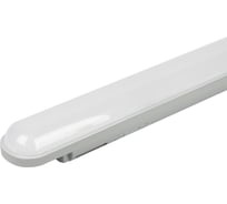 Светильник светодиодный линейный ЭРА SPP-202-0-65K-L18 18 Вт 6500 К 2430 лм IP65 600 мм матовый транзит гарантия 5 лет Б0066935