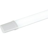 Линейный светодиодный светильник ЭРА SPP31186KM 18Вт 6500К 1890лм IP65 570x50x32 матовый Б0065342