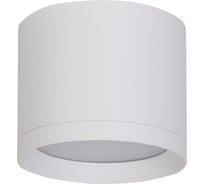 Светильник потолочный GLANZEN под GX53, 85х70, LF-GX53-8570-WH, белый КА-00010268