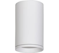 Светильник потолочный GLANZEN под GU10, 60х100, LF-GU10-6010-WH, белый КА-00010272