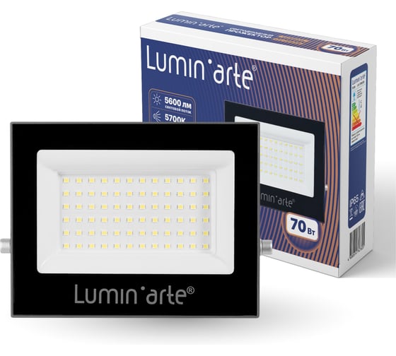 Светодиодный прожектор Lumin'arte 70Вт, 5700К, IP65, серый корпус LFL-70W/06 1
