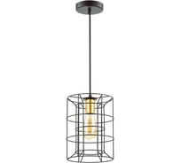 Подвес LUMION металл E27 1*60W RUPERT 4410/1