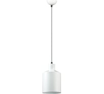 Подвес LUMION металл E27 60W RIGBY 3694/1