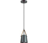 Подвес LUMION металл E27 60W TRISTEN 3641/1