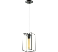 Подвес LUMION металл. стекло E27 1*60W ELLIOT 3728/1