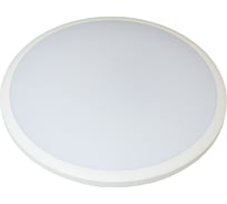 Светодиодный ЖКХ светильник Сириус А SHR D470x40мм 65Вт 4000К 5400Лм IP65 СириусА SHR-65W-W