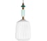 Подвесной светильник LOFT IT Family 10365/B 5