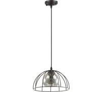 Подвес LUMION стекло E27 1*60W SHELBY 3713/1A