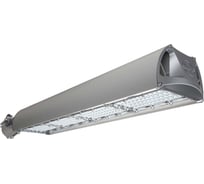 Светодиодный светильник Технологии света TL-STREET RUS 140 750 W УТ000014004