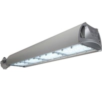 Светодиодный светильник Технологии света TL-STREET RUS 140 740 D УТ000014001