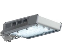 Светодиодный светильник Технологии света TL-STREET RUS 35 750 LC D IE УТ000014566