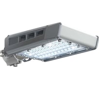 Светодиодный светильник Технологии света TL-STREET RUS 35 740 LC W IE УТ000014563