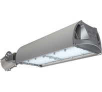 Светодиодный светильник Технологии света TL-STREET RUS 80 740 D УТ000013675