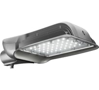 Светодиодный светильник Технологии света ATAMAN-STREET 100-1 830 W DIM УТ000020709