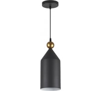 Подвес ODEON LIGHT BOLLI металл, E27, 1х40W 4091/1