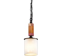 Подвес ODEON LIGHT FABO стекло, E27, 60W 2767/1