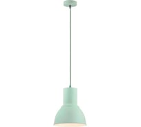 Подвес ODEON LIGHT LASO металл, E27, 60W 3328/1