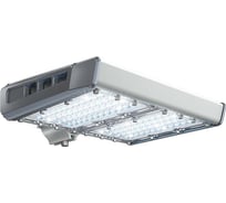 Уличный светильник Технологии света TL-STREET 100 4K LC DIM F1 W УТ000015726