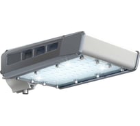 Уличный светильник Технологии света TL-STREET 55 4K LC F1 D IE УТ000011546