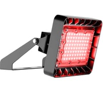 Архитектурный светильник Технологии света TL-PROM APS 50 FL D40 Red УТ000018548