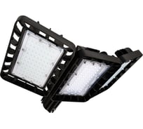 Перимитральный светильник Технологии света TL-AREA APS 115 5K F3 K30-W-K30 УТ000012378