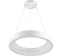 Подвес ODEON LIGHT SOLE акрил, LED, 50W 4066/50L