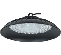 Светильник ДСП IEK 3010 200 Вт 60 г 6500К IP65 + коннект IP68 LDSP0-3010-200-D175-3-68