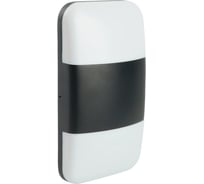 Светильник уличный светодиодный FERON DH499, 24W, 700Lm, 3000/4000/6400К, черный, 51832