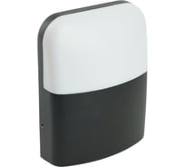 Светильник уличный светодиодный FERON DH498, 85-265V, 12W, 350Lm, 3000/4000/6400К, черный, 51831