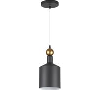 Подвес ODEON LIGHT BOLLI металл, E27, 1х40W 4085/1