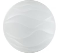 Настенно-потолочный светильник SONEX пластик, LED, 72W, ERICA 2090/EL