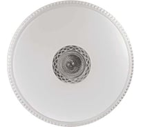 Настенно-потолочный светильник SONEX пластик, LED, 72W, LAVORA 2044/EL