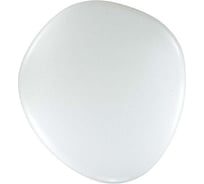 Настенно-потолочный светильник SONEX пластик, LED, 72W, STONE 2039/EL