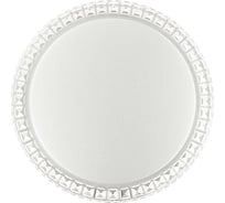 Настенно-потолочный светильник SONEX пластик, LED, 90W, BRISA 2036/FL