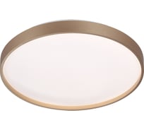 Настенно-потолочный светильник СОНЕКС LED 48W GABY 7783\DL