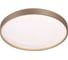 Настенно-потолочный светильник СОНЕКС LED 48W GABY 7783\DL 1