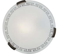 Настенно-потолочный светильник SONEX стекло, E27, 2х100W, GRECA 261