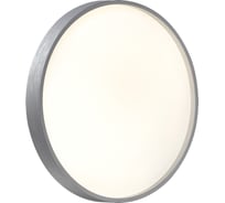 Настенно-потолочный светильник СОНЕКС LED 30W GABY 7784\CL