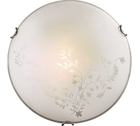 Настенно-потолочный светильник SONEX стекло, E27, 2х60W, KUSTA 118/K