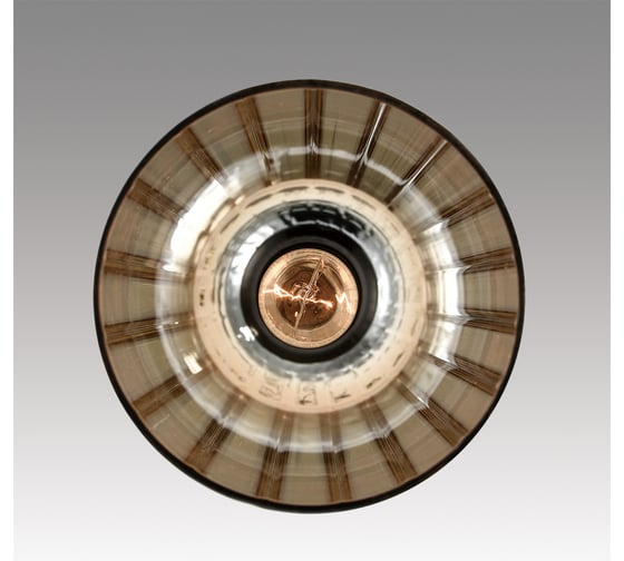 Светильник подвесной LUMION LORENZO E27 1*60W 8065/1A
